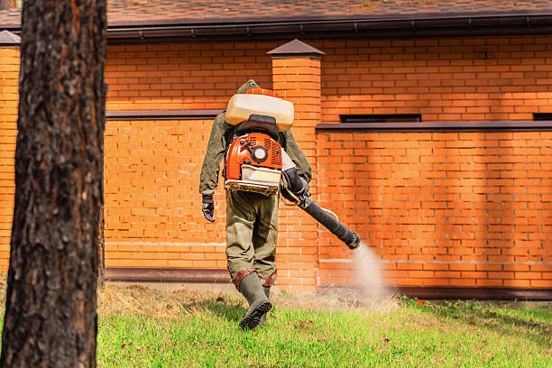 Trusted Emergency Pest Control service in Ferndale, WA - Nex Pest Control